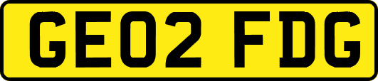 GE02FDG