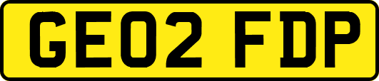 GE02FDP