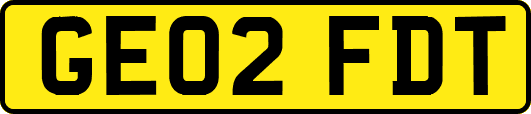 GE02FDT