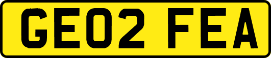 GE02FEA
