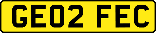 GE02FEC