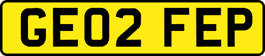 GE02FEP
