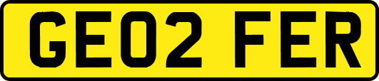 GE02FER