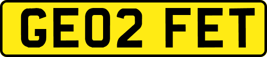 GE02FET