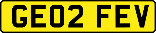 GE02FEV