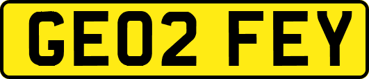 GE02FEY