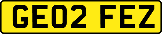GE02FEZ