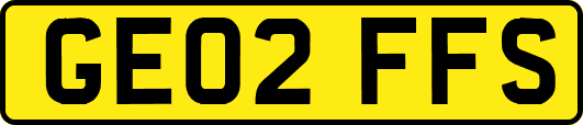GE02FFS