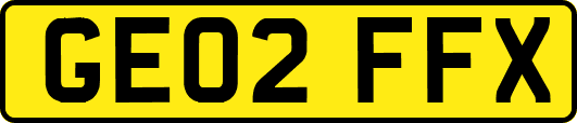 GE02FFX
