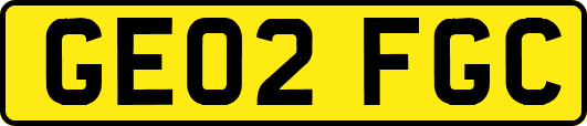 GE02FGC