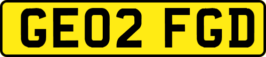 GE02FGD