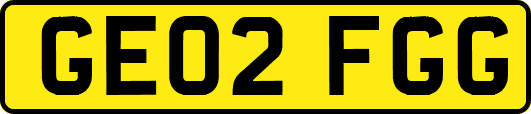 GE02FGG