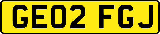 GE02FGJ