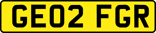 GE02FGR