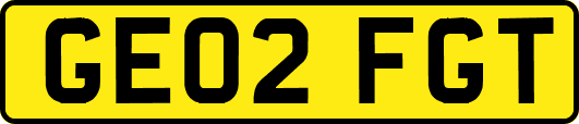 GE02FGT
