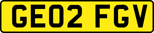 GE02FGV
