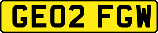GE02FGW