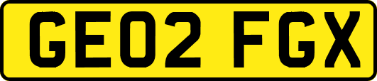 GE02FGX