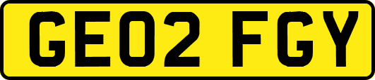 GE02FGY