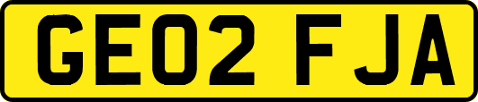 GE02FJA