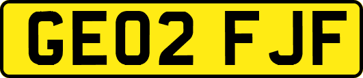 GE02FJF