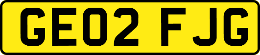 GE02FJG