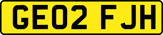 GE02FJH