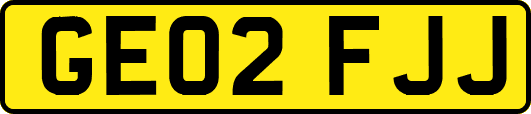 GE02FJJ