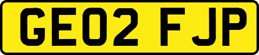 GE02FJP