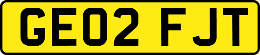GE02FJT