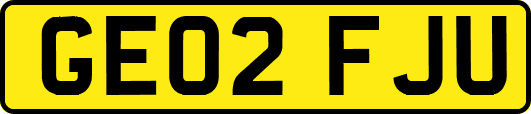 GE02FJU