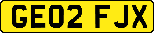 GE02FJX