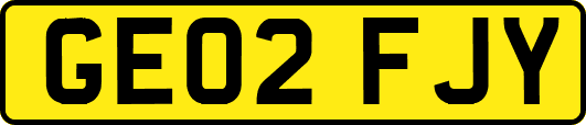 GE02FJY