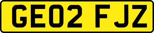 GE02FJZ