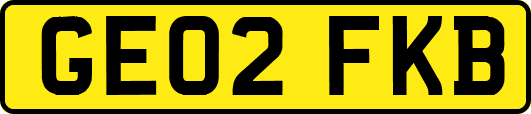 GE02FKB