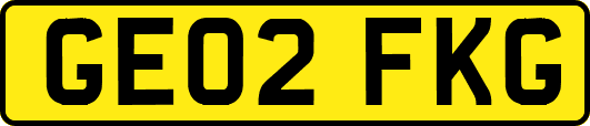GE02FKG