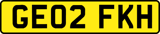GE02FKH