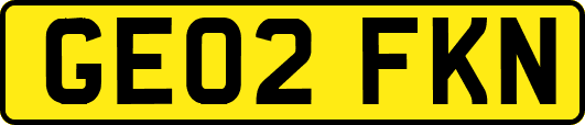 GE02FKN
