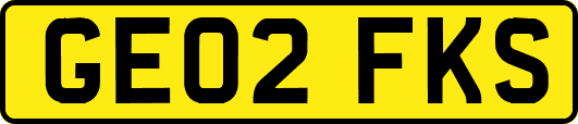 GE02FKS