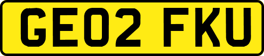 GE02FKU