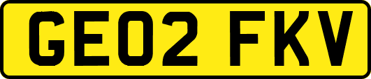 GE02FKV