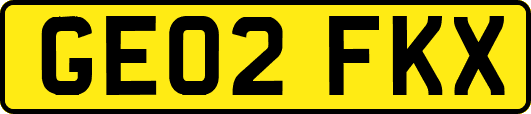 GE02FKX