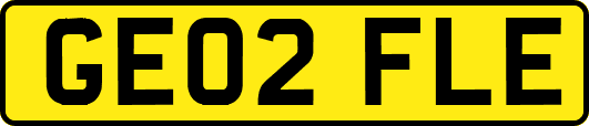 GE02FLE