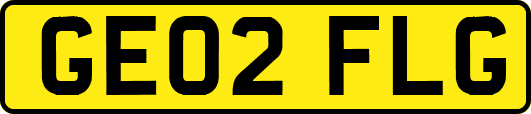 GE02FLG