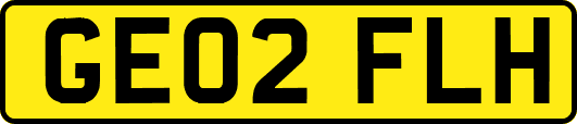 GE02FLH