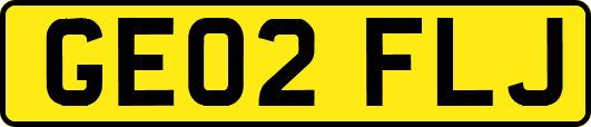 GE02FLJ