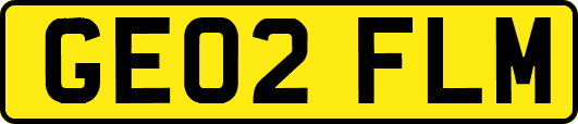 GE02FLM