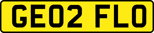 GE02FLO