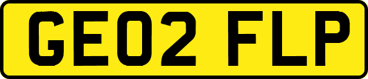 GE02FLP