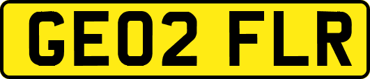 GE02FLR